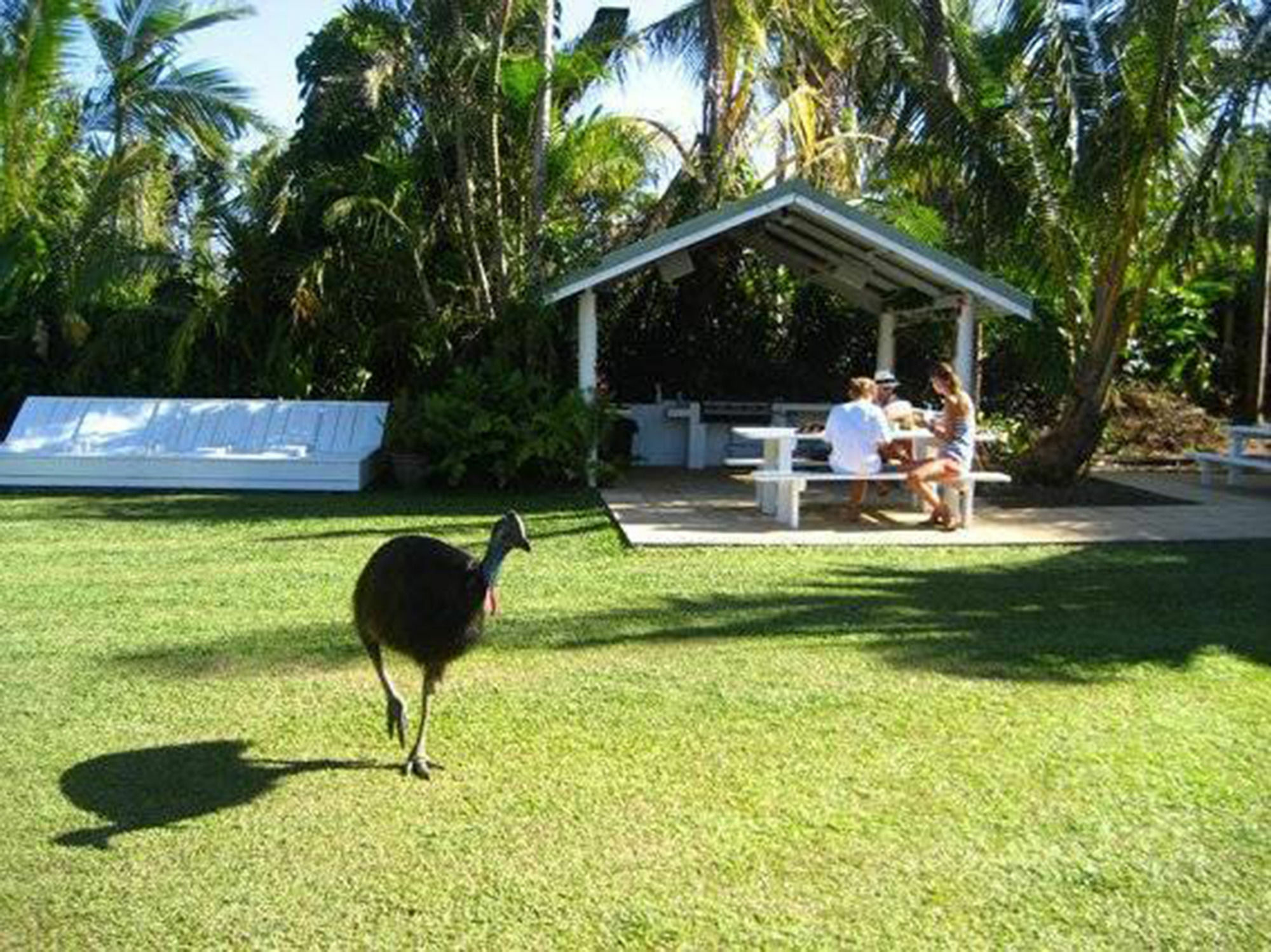 Absolute Backpackers Mission Beach Esterno foto